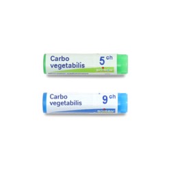 Carbolevure Adulte M Dicament Anti Ballonnement Charbon Pour Les Gaz