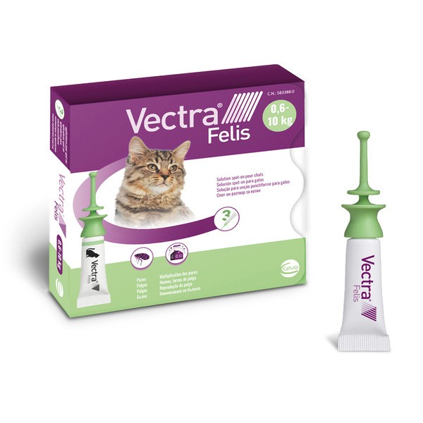 Vectra Felis Pipettes anti puces chat