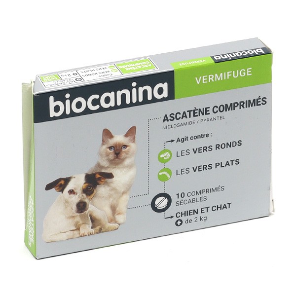 Ascatène vermifuge pour chien et chat 10 comprimés - Univers-veto