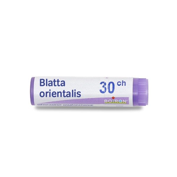 Boiron Blatta orientalis 30CH dose