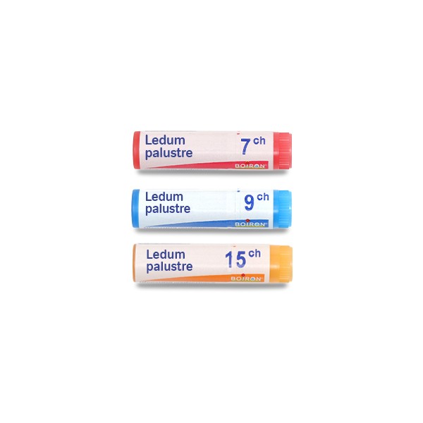 Boiron Ledum palustre dose