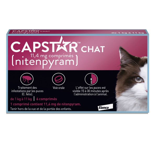 Capstar Chat comprimé anti puce