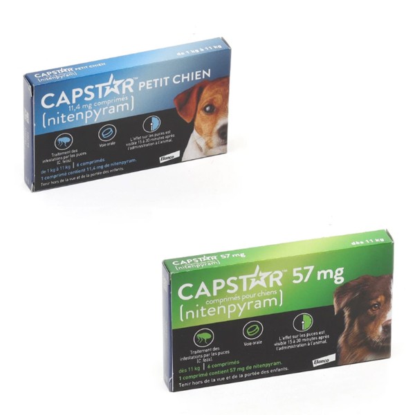 Capstar boite verte - Anti-puce chien>11 kg , 6 cp - ELANCO