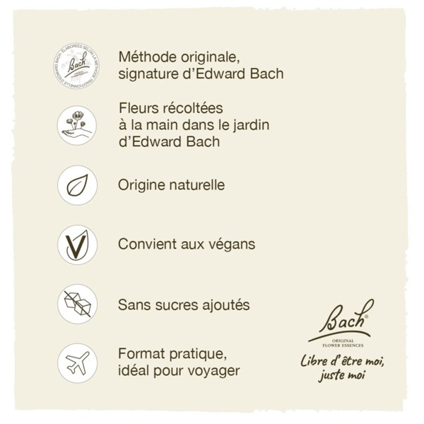 Modes d'emploi des Fleurs de Bach : utilisation et dosage - Fleurs de Bach  Paris
