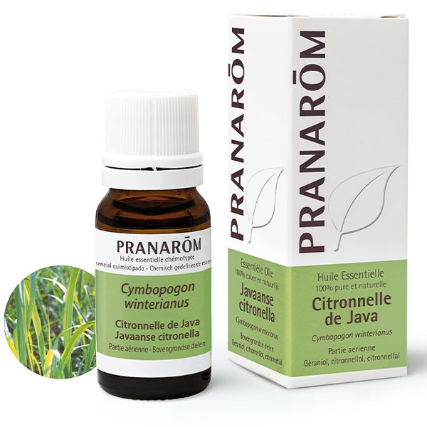 Pranarom Huile essentielle Citronnelle de java