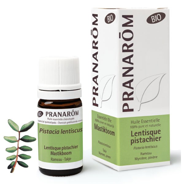 Pranarom Huile essentielle Lentisque pistachier Bio