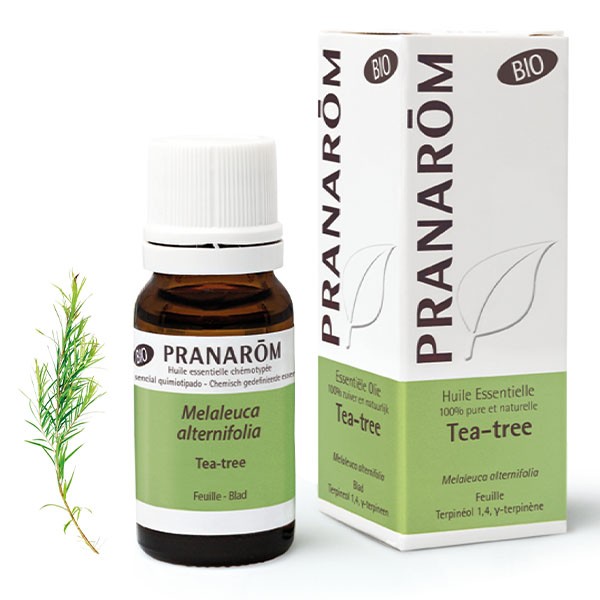 Pranarom huile essentielle Tea Tree bio