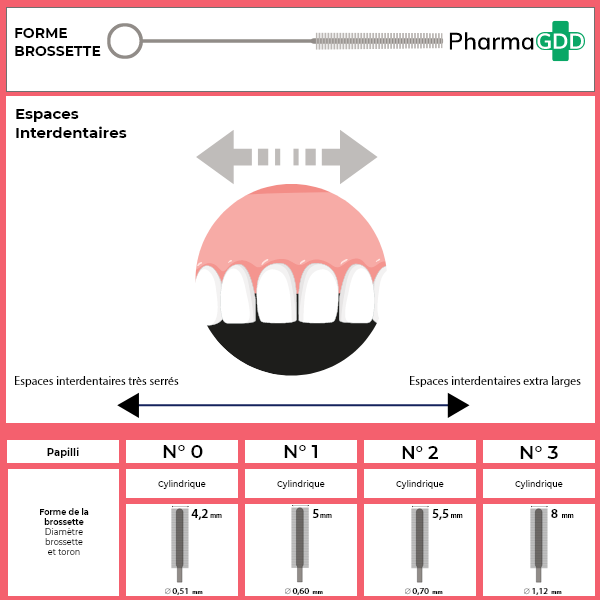 Les brossettes interdentaires : pour qui ? Partie 1 – L
