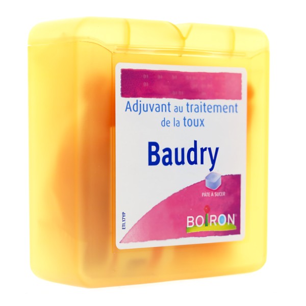 Baudry Pastilles Pour La Toux Seche Boiron 70 G Homeopathie