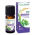 Naturactive Huile essentielle de Coriandre Bio