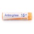 Boiron Ambra grisea 15CH dose