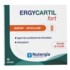 Nutergia Ergycartil Fort sachets