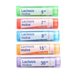 Lachesis Mutus dose Homéopathique Boiron  Bouffée de chaleur