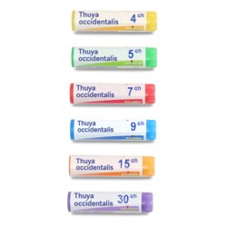 Thuya Occidentalis Dose Homéopathique Laboratoire Boiron - Verrue